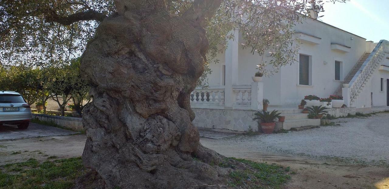 Gasthaus Le Stanze Di Casa Polinisso Carovigno Exterior foto